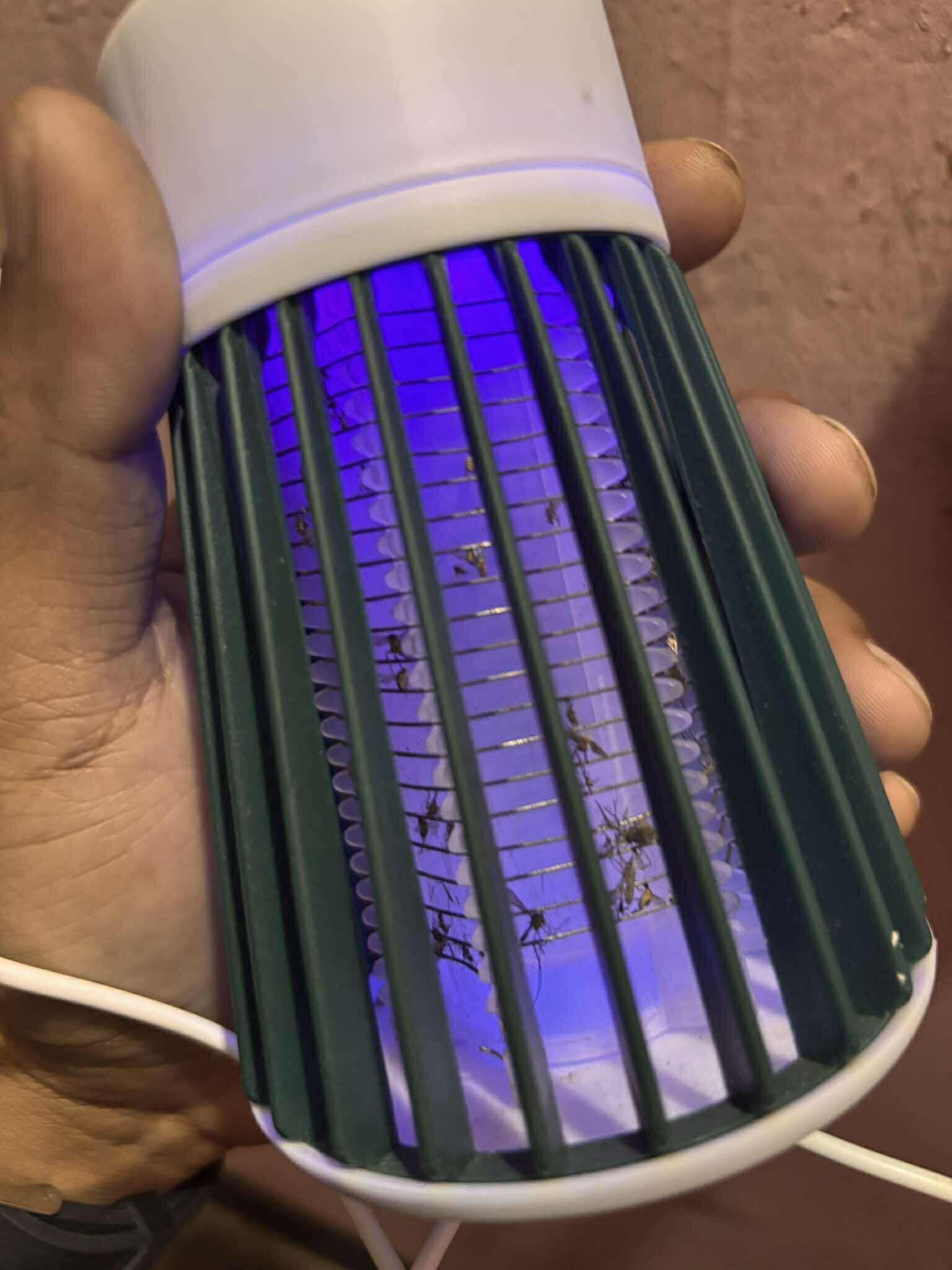 Electronic LED Mosquito Killer Machine Trap Lamp (USB Powered) alt